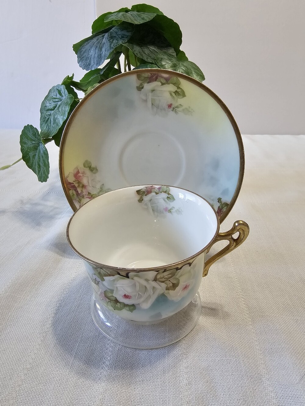 Antique Royal Rudolstadt Prussia Rose Cup & Saucer Beyer & Bock 1905-1931